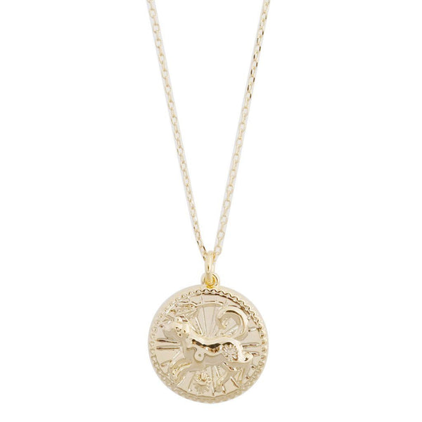 Chinese Zodiac Coin Necklace