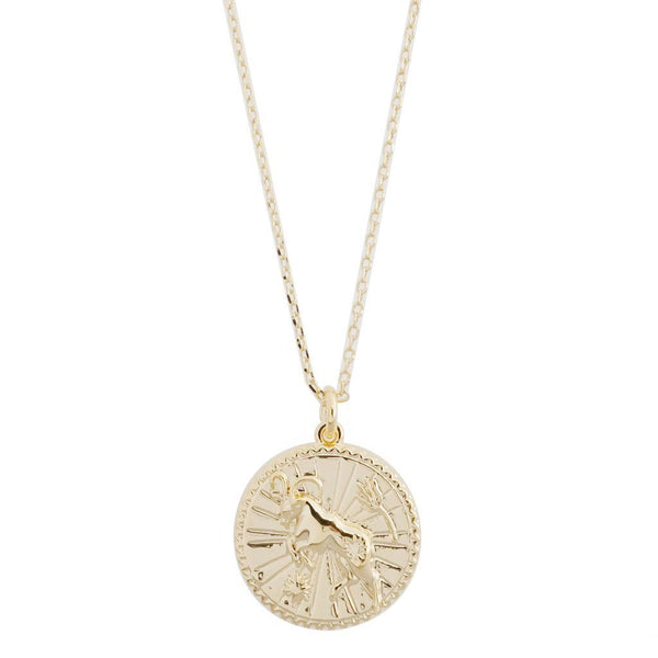 Chinese Zodiac Coin Necklace